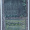Magic MTG Unlimited Bayou front