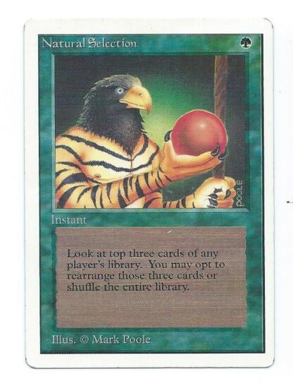 Magic MTG Unlimited Natural Selection front