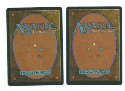 Magic MTG 2x Winter Orb FBB Italian and French back