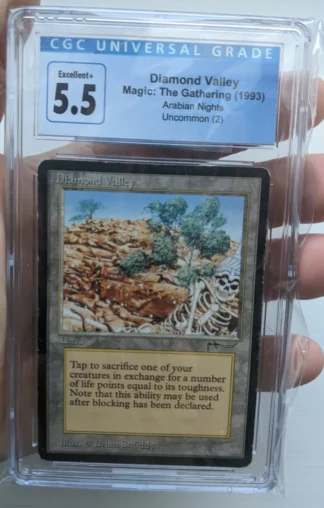 Magic MTG Arabian Nights Diamond Valley (1)