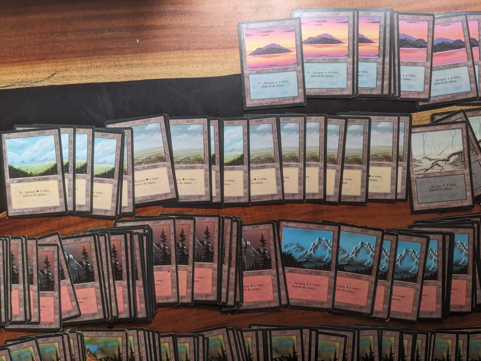 FBB Basic Lands Lot 380 French black border - Image 8