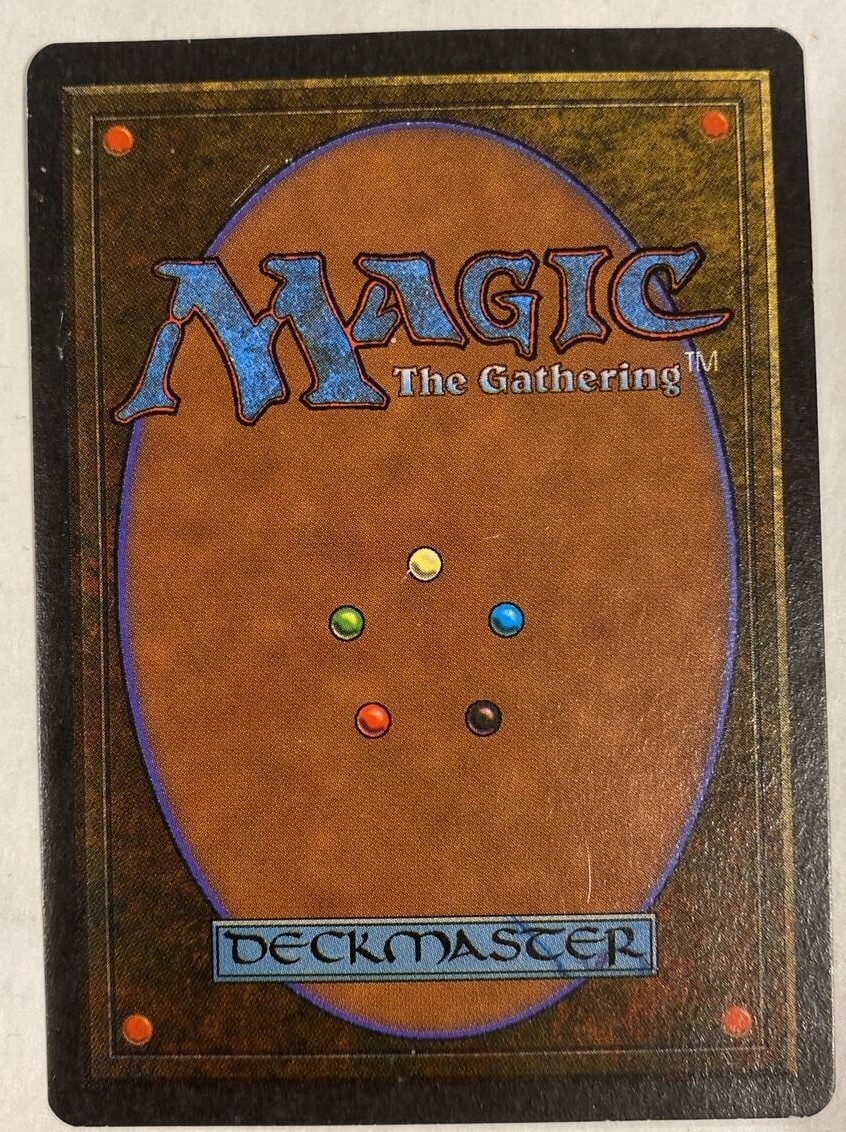 Antiquities Argivian Archaeologist - Image 5