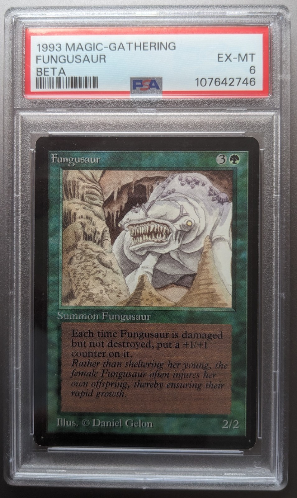 Beta Fungusaur Graded PSA 6 EX-MT