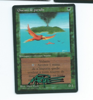 Birds of Paradise Signed Poole FBB French