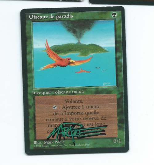 Birds of Paradise Signed Poole FBB French
